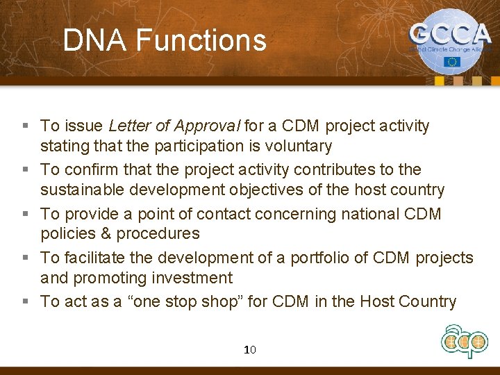 DNA Functions § To issue Letter of Approval for a CDM project activity stating