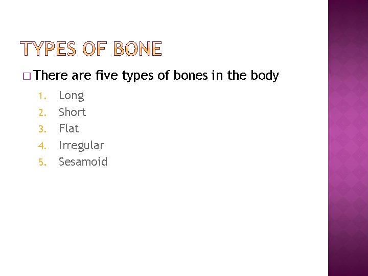 � There 1. 2. 3. 4. 5. are five types of bones in the