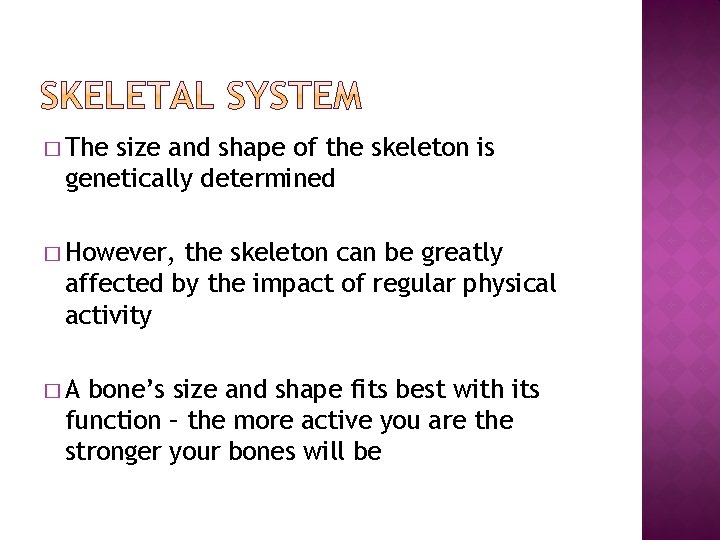 � The size and shape of the skeleton is genetically determined � However, the