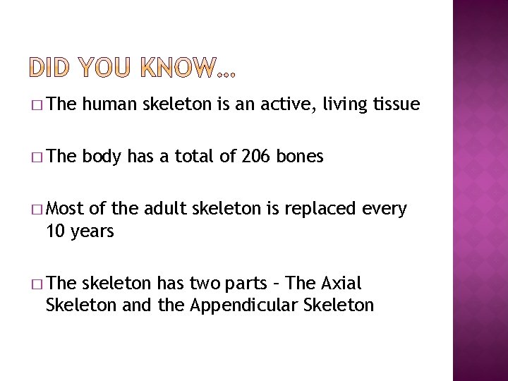 � The human skeleton is an active, living tissue � The body has a