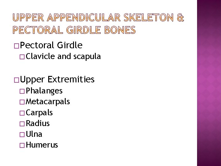 �Pectoral � Clavicle �Upper Girdle and scapula Extremities � Phalanges � Metacarpals � Carpals
