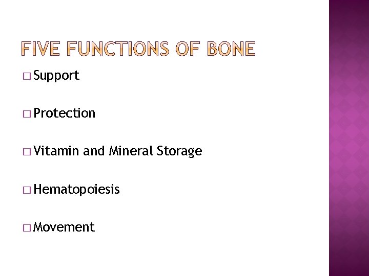� Support � Protection � Vitamin and Mineral Storage � Hematopoiesis � Movement 