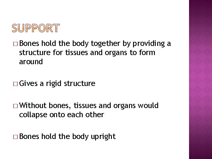 � Bones hold the body together by providing a structure for tissues and organs