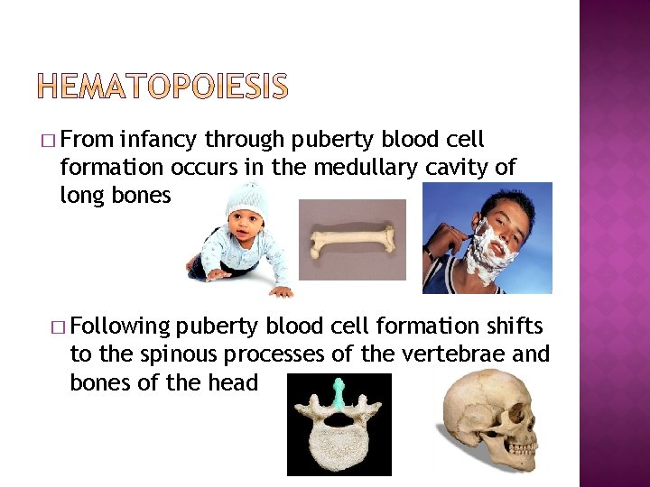 � From infancy through puberty blood cell formation occurs in the medullary cavity of