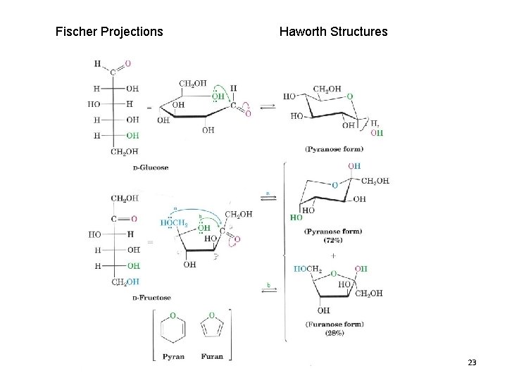 Fischer Projections Haworth Structures 23 