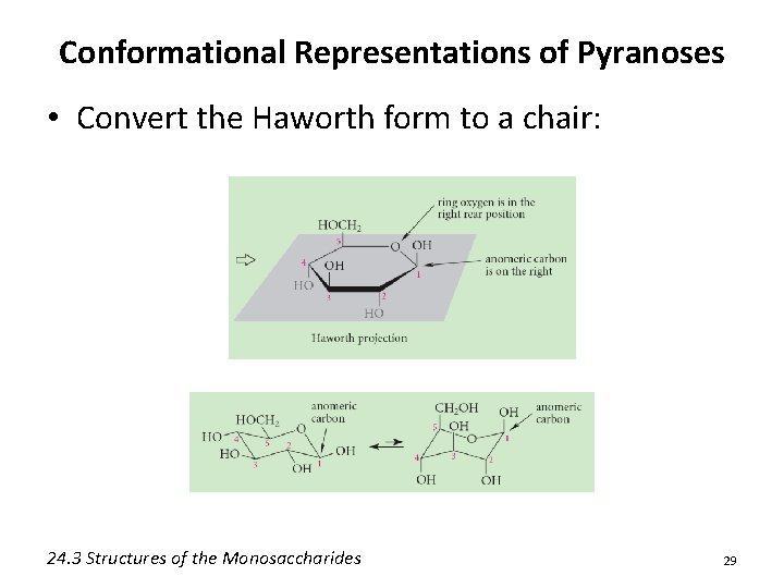 Conformational Representations of Pyranoses • Convert the Haworth form to a chair: 24. 3