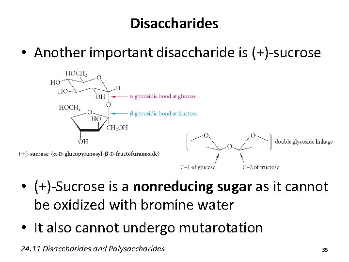 Disaccharides • Another important disaccharide is (+)-sucrose • (+)-Sucrose is a nonreducing sugar as