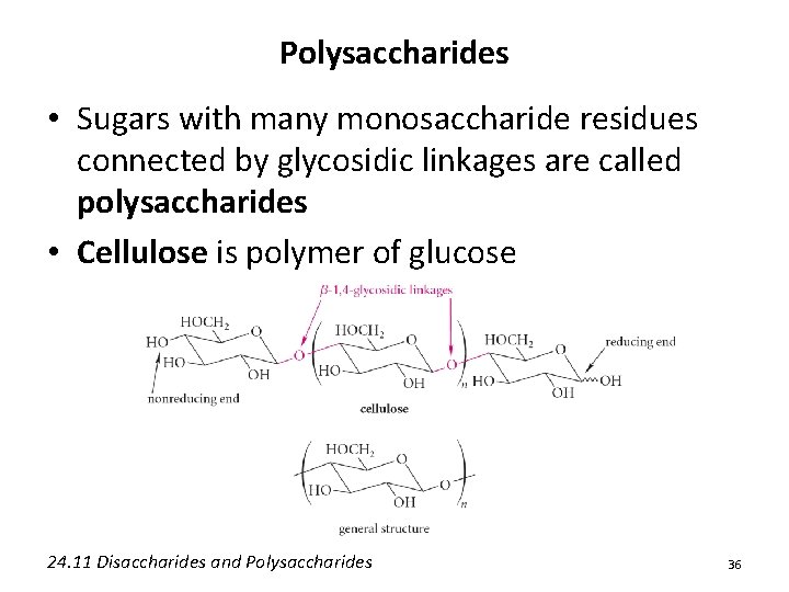 Polysaccharides • Sugars with many monosaccharide residues connected by glycosidic linkages are called polysaccharides