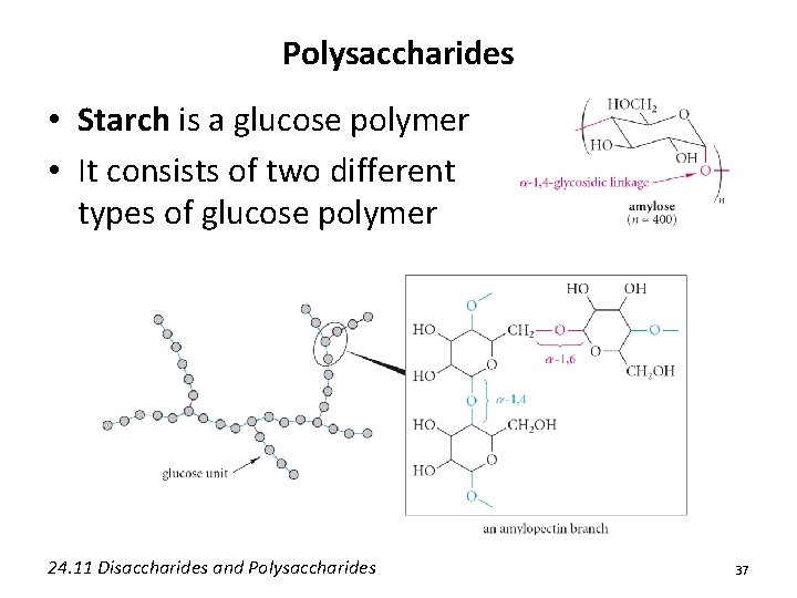 Polysaccharides • Starch is a glucose polymer • It consists of two different types