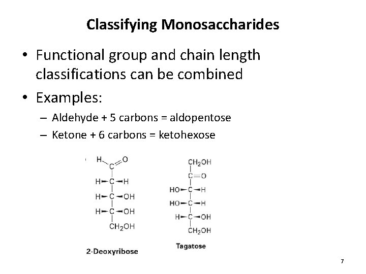Classifying Monosaccharides • Functional group and chain length classifications can be combined • Examples:
