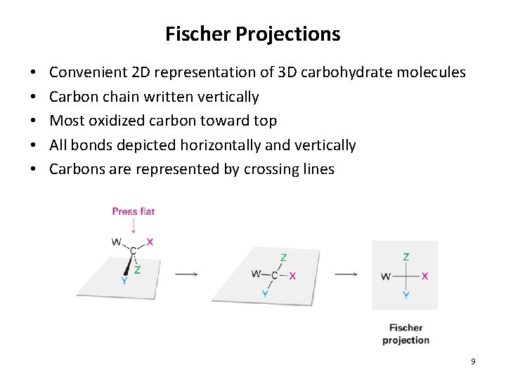 Fischer Projections • • • Convenient 2 D representation of 3 D carbohydrate molecules