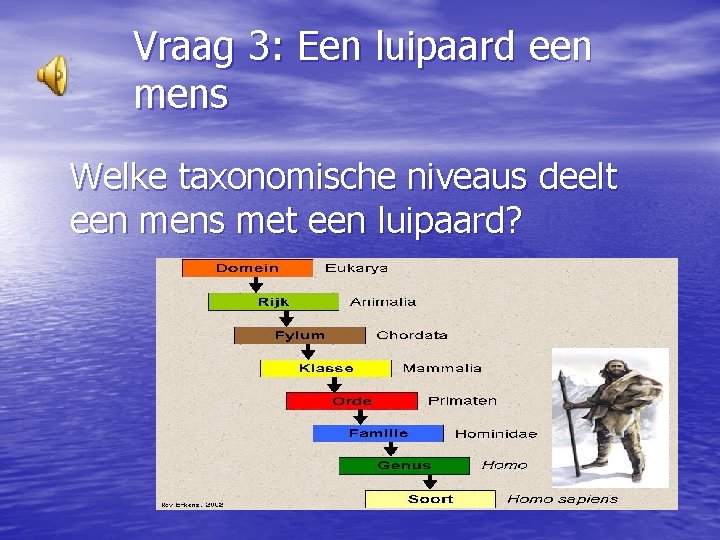 Vraag 3: Een luipaard een mens Welke taxonomische niveaus deelt een mens met een