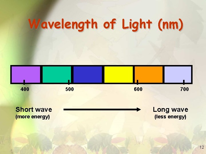 Wavelength of Light (nm) 400 500 600 700 Short wave Long wave (more energy)