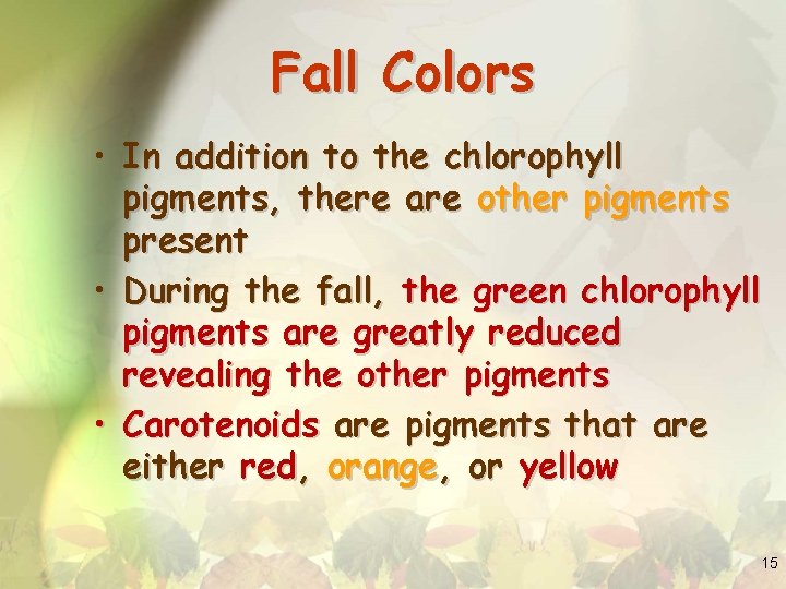 Fall Colors • In addition to the chlorophyll pigments, there are other pigments present