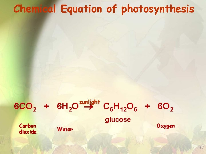 Chemical Equation of photosynthesis sunlight 6 CO 2 + 6 H 2 O Carbon
