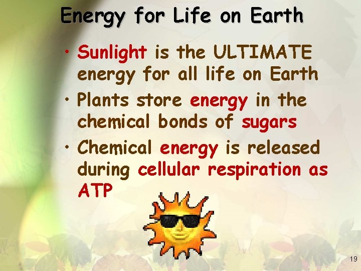 Energy for Life on Earth • Sunlight is the ULTIMATE energy for all life
