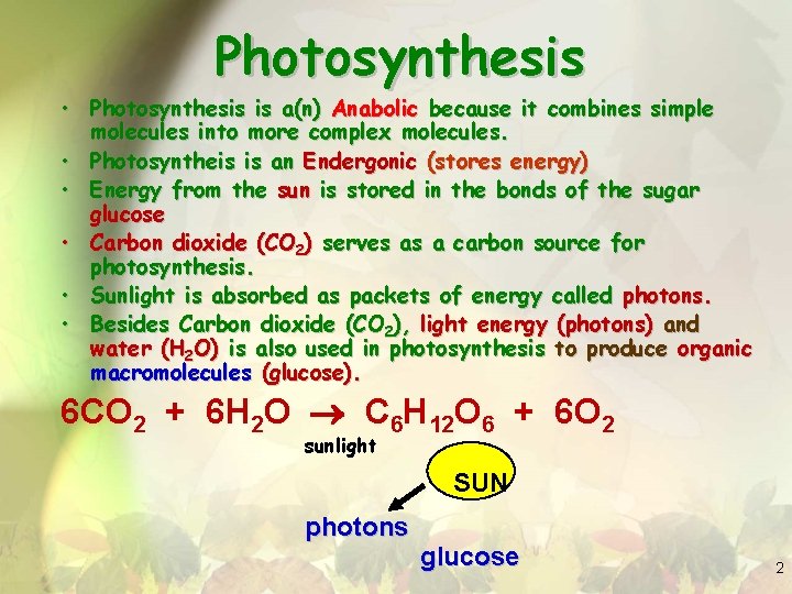 Photosynthesis • Photosynthesis is a(n) Anabolic because it combines simple molecules into more complex