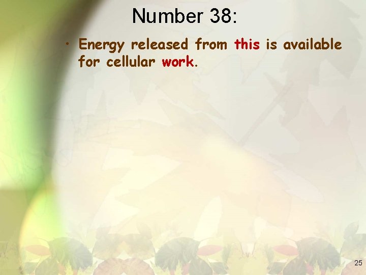 Number 38: • Energy released from this is available for cellular work. 25 