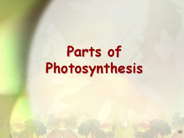 Parts of Photosynthesis 26 