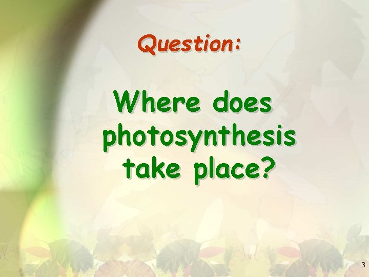 Question: Where does photosynthesis take place? 3 