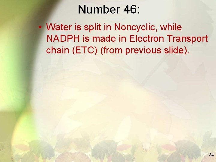 Number 46: • Water is split in Noncyclic, while NADPH is made in Electron