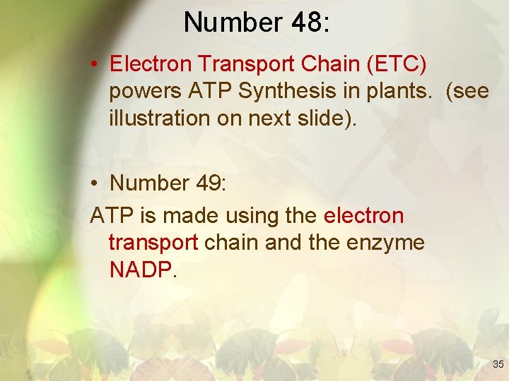 Number 48: • Electron Transport Chain (ETC) powers ATP Synthesis in plants. (see illustration
