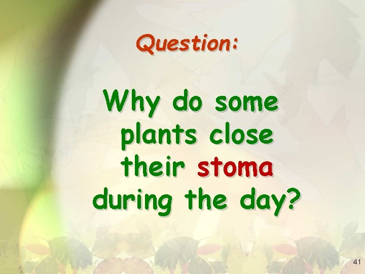 Question: Why do some plants close their stoma during the day? 41 