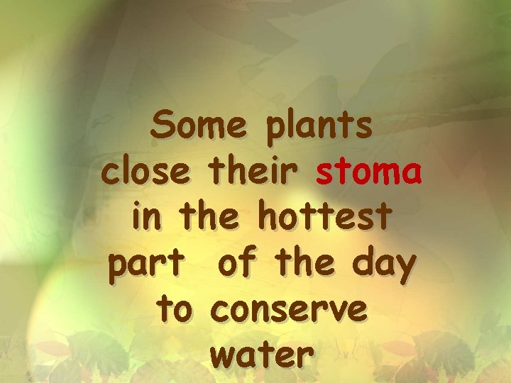 Some plants close their stoma in the hottest part of the day to conserve