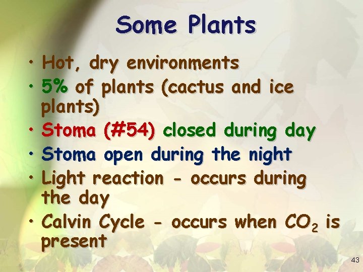 Some Plants • Hot, dry environments • 5% of plants (cactus and ice plants)