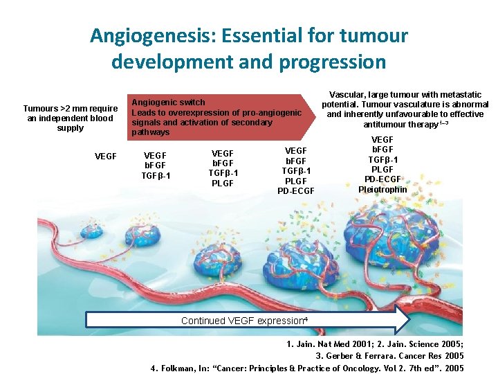 Angiogenesis: Essential for tumour development and progression Tumours >2 mm require an independent blood