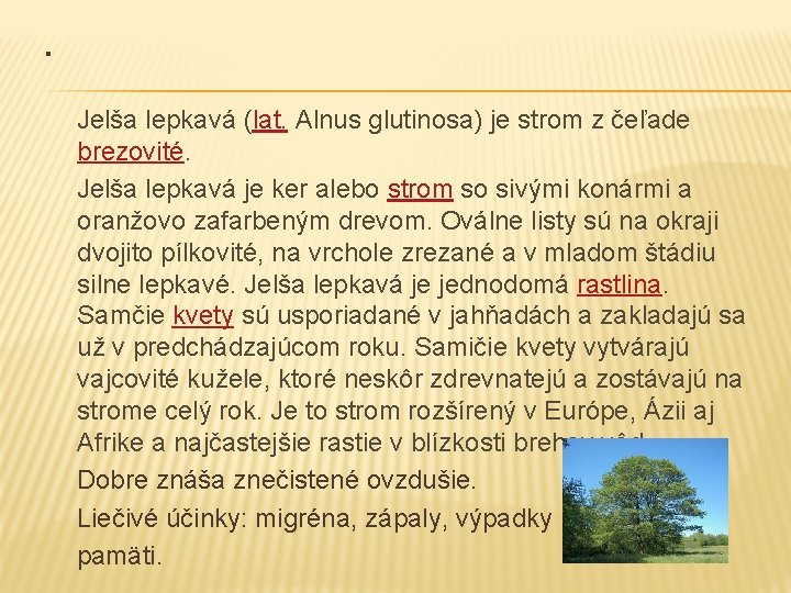 . Jelša lepkavá (lat. Alnus glutinosa) je strom z čeľade brezovité. Jelša lepkavá je