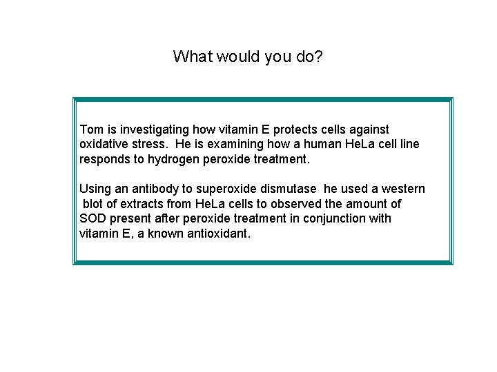 What would you do? Tom is investigating how vitamin E protects cells against oxidative What would you do? Tom is investigating how vitamin E protects cells against oxidative