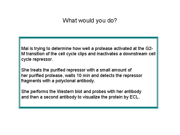 What would you do? Mai is trying to determine how well a protease activated What would you do? Mai is trying to determine how well a protease activated
