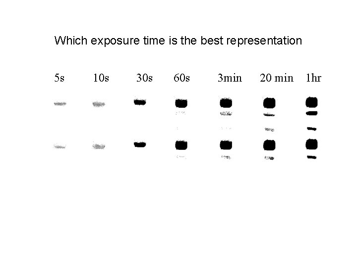 Which exposure time is the best representation 5 s 10 s 30 s 60 Which exposure time is the best representation 5 s 10 s 30 s 60