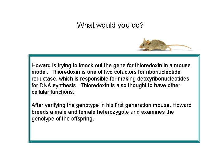 What would you do? Howard is trying to knock out the gene for thioredoxin What would you do? Howard is trying to knock out the gene for thioredoxin