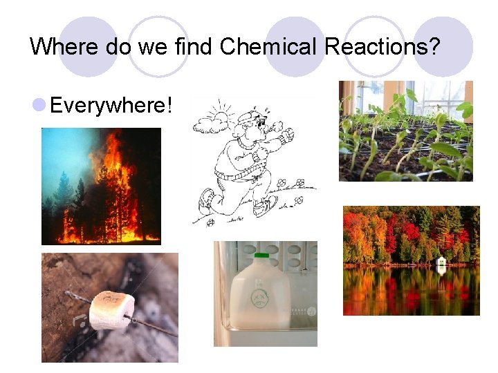Where do we find Chemical Reactions? l Everywhere! 