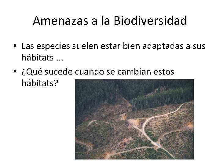 Amenazas a la Biodiversidad • Las especies suelen estar bien adaptadas a sus hábitats.