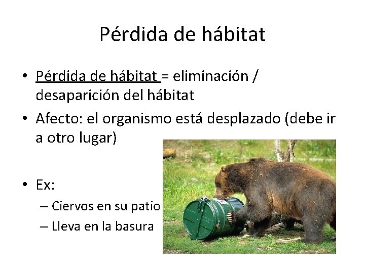 Pérdida de hábitat • Pérdida de hábitat = eliminación / desaparición del hábitat •