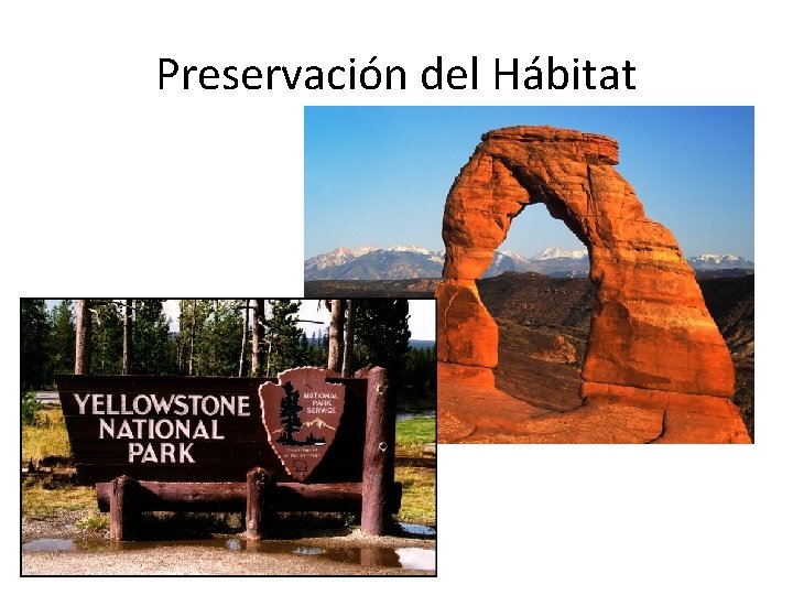 Preservación del Hábitat 