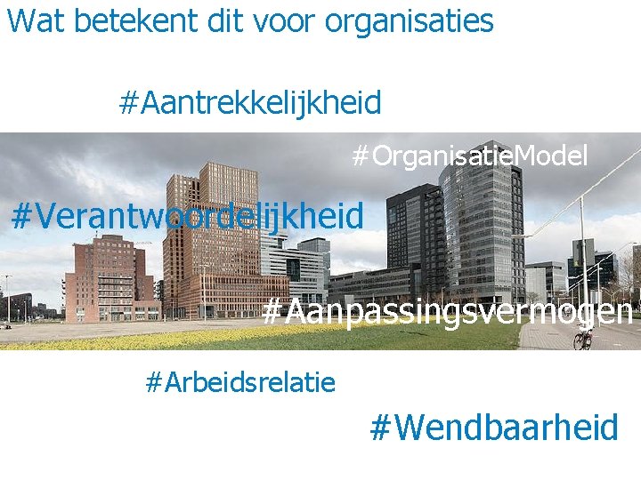 Wat betekent dit voor organisaties #Aantrekkelijkheid #Organisatie. Model #Verantwoordelijkheid #Aanpassingsvermogen #Arbeidsrelatie #Wendbaarheid 