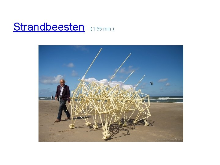 Strandbeesten (1. 55 min. ) 3 