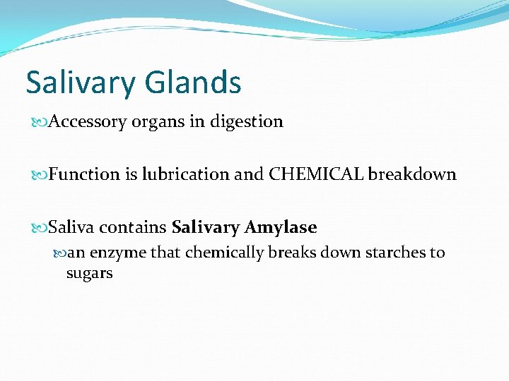 Salivary Glands Accessory organs in digestion Function is lubrication and CHEMICAL breakdown Saliva contains