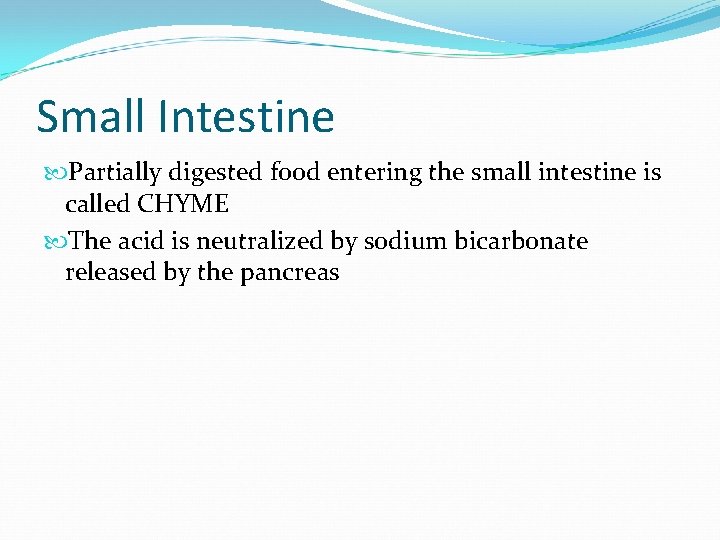 Small Intestine Partially digested food entering the small intestine is called CHYME The acid