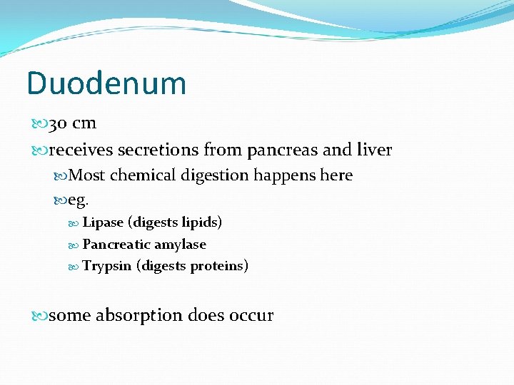 Duodenum 30 cm receives secretions from pancreas and liver Most chemical digestion happens here