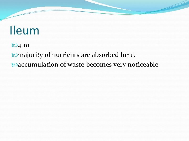 Ileum 4 m majority of nutrients are absorbed here. accumulation of waste becomes very