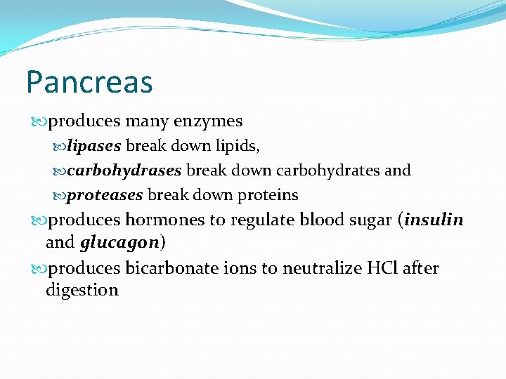 Pancreas produces many enzymes lipases break down lipids, carbohydrases break down carbohydrates and proteases