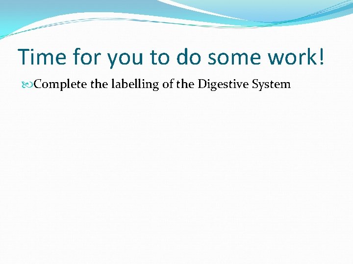 Time for you to do some work! Complete the labelling of the Digestive System