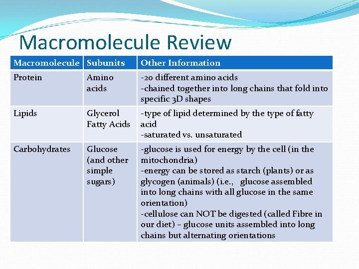 Macromolecule Review Macromolecule Subunits Other Information Protein Amino acids -20 different amino acids -chained
