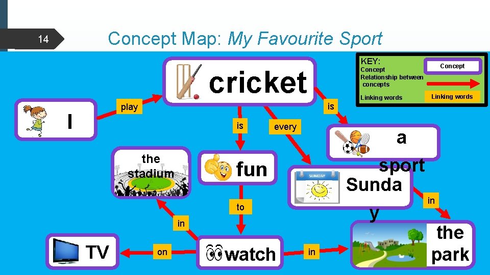 Concept Map: My Favourite Sport 14 KEY: cricket Linking words is the stadium every