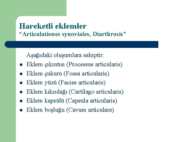 Hareketli eklemler “Articulationes synoviales, Diarthrosis” l l l Aşağıdaki oluşumlara sahiptir: Eklem çıkıntısı (Processus